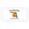 Personalized 3 X 6 Heavy Duty Plastic License Plate Thumbnail